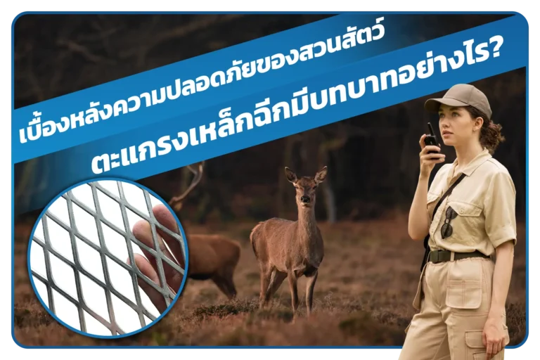 เบื้องหลังความปลอดภัยของสวนสัตว์ ตะแกรงเหล็กฉีกมีบทบาทอย่างไร